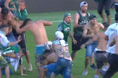 Torcedores De Cruzeiro E Coritiba Invadem Campo E Paralisam Jogo