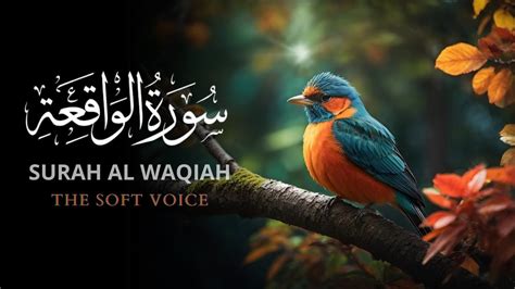 SPECIAL RAMADHAN MUROTTAL AL QURAN MERDU SURAH AL WAQIAH SUARA HALUS