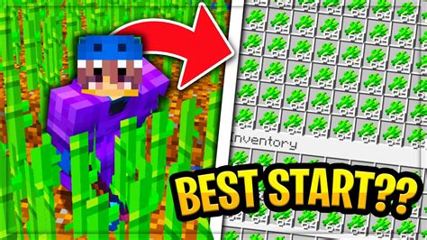 Best Start On New Op Skyblock Server Minecraft Skyblock Pvpcloud