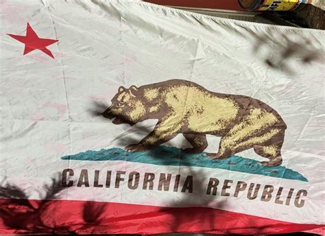 California Republic Bear Flag State Flag | Collectors Weekly