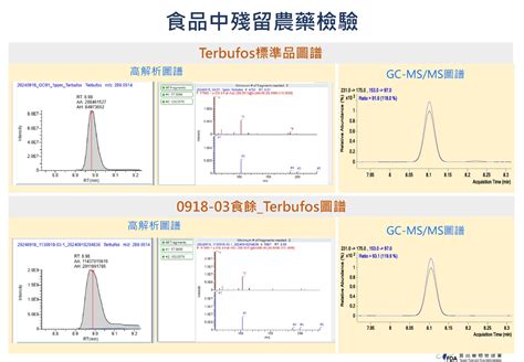 台東「蝸牛小米粽」釀3死！事發時間序、檢驗結果 懶人包一次看