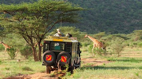 Viaggio In Safari In Kenya Parco Di Naivasha E La Riserva Nazionale Di