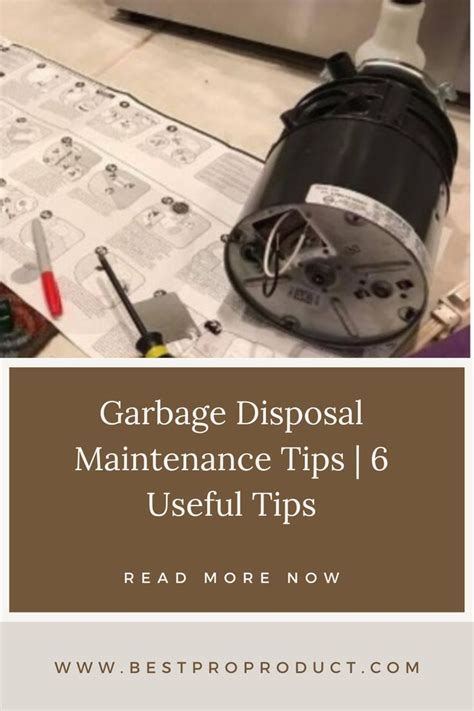 Garbage Disposal Maintenance Tips | 6 Useful Tips in 2023 | Garbage ...