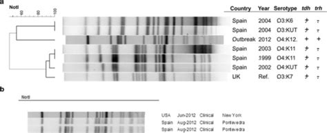 Pfge Analysis Of The Outbreak Strains A Pfge Profiles Of All Available