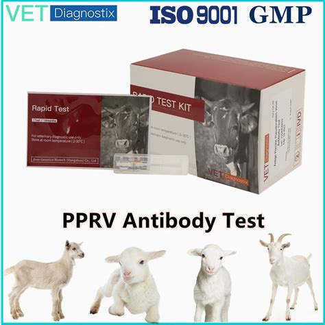 Ppr Ab Test Ovine Peste Des Petits Ruminants Virus Rapid Test Ppr Ab