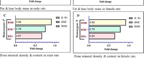 Figure From A Nude Mutant Derived From Five Decades Old Rat Colony With An Immuno Potent