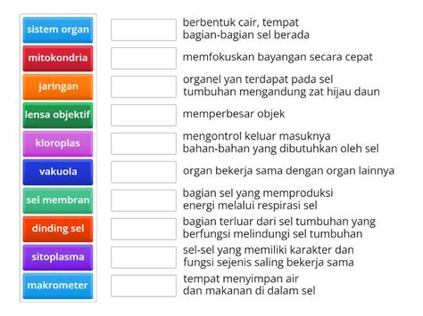 menganalisis mikroskop, sel hewan dan sel tumbuhan - Match up