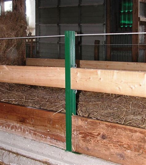 Low Labour Feeding Systems And Bunk Design For Sheep Sheep Sheep