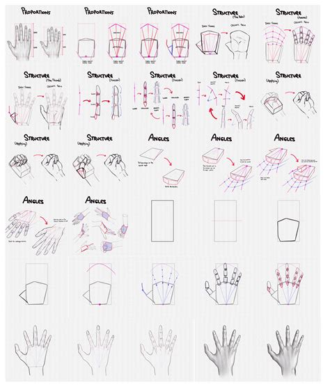 How To Draw Hands A Step By Step Tutorial Artlex