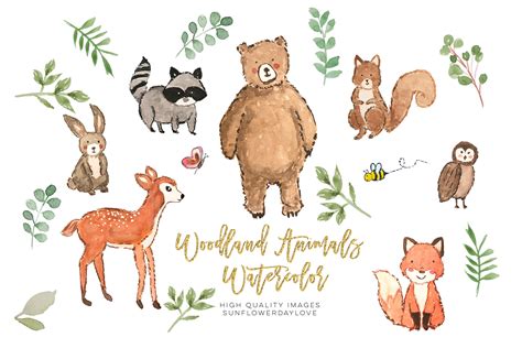 Nursery Woodland Watercolor Clip Art Bear Clipart