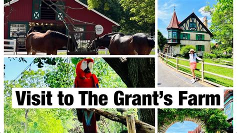 My Visit To The Grants Farm St Louis Missouri 4k Youtube