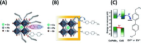 Cspbbr3cds Heterostructure Stabilizing Perovskite Nanocrystals For