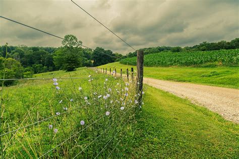 The Family Farm: Every Kind of Photography