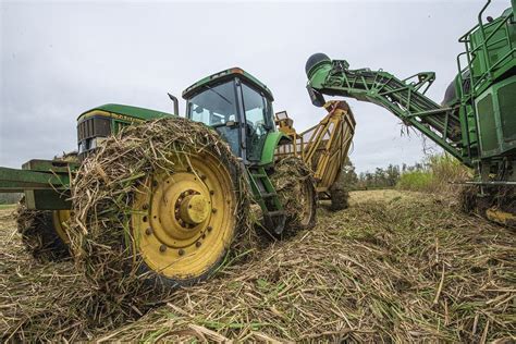 U S Department Of Agriculture Usda Free Photo Rawpixel