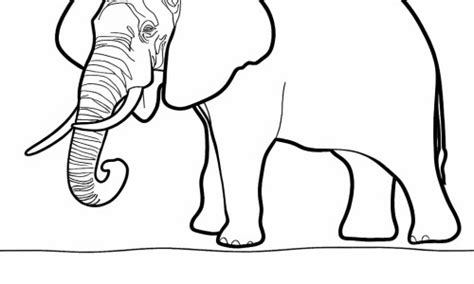 Coloriage D L Phant Dans La Nature T L Charger Ou Imprimer