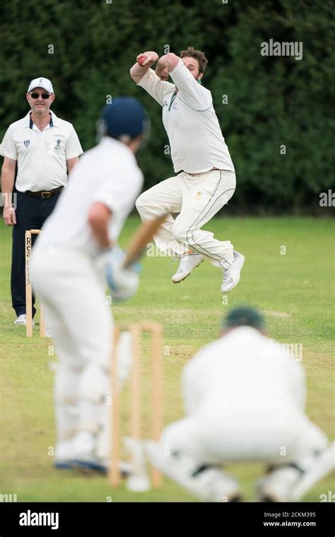 Cricket bowler in action Stock Photo - Alamy