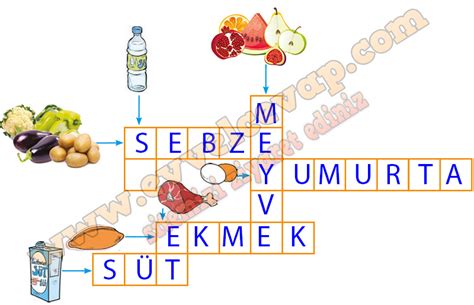 S N F Hayat Bilgisi Ders Kitab Cevaplar Dizin Yay Nlar Sayfa