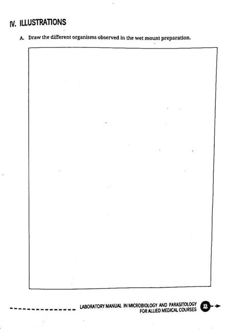 EXERCISE NO. > Studying 3 Microorganisms in the | Chegg.com 