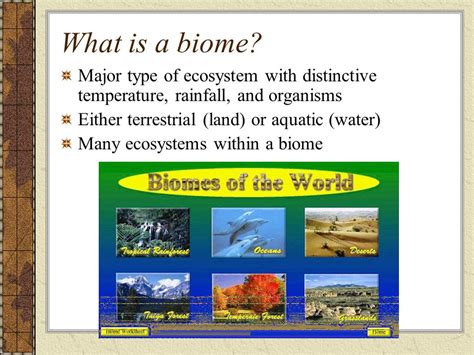 Biome Examples