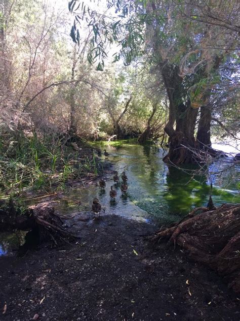 Clearlake,CA camping at lower bayview | Clearlake, Outdoor, Camping