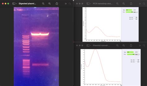 Solved Part Purify Restriction Enzyme Digested Plasmid By Chegg