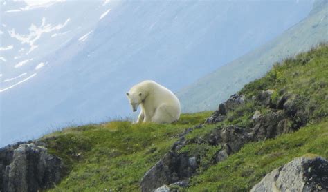 Torngat Mountains National Park Newfoundland And Labrador Canada