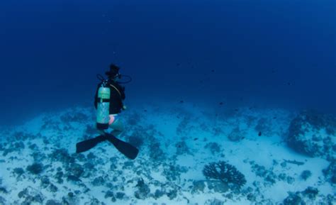 Padi Enriched Air Diver Course In Marsa Alam Advenius