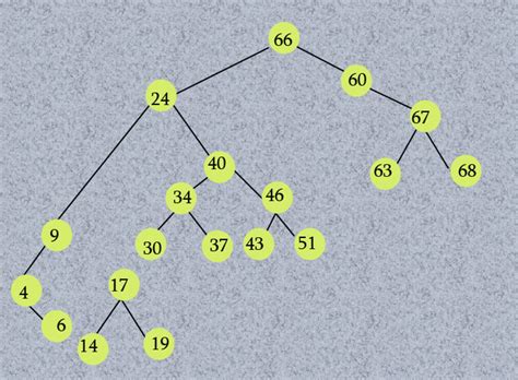 Binary Tree Types