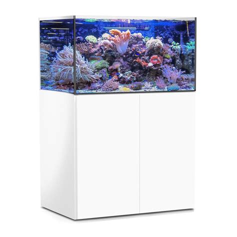 Aquamedic Armatus Xd Acquario Marino Incluso Di Supporto E Sistema