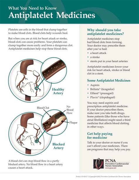 Cardiac Patient Education Tools And Handouts Pcna