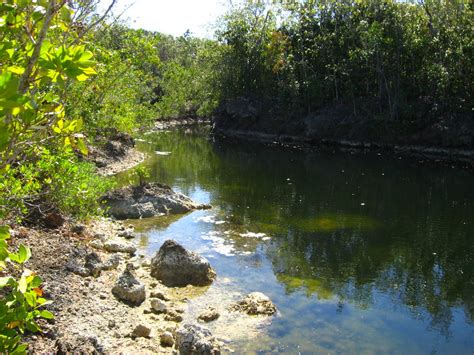 Dagny Johnson Key Largo Hammock Botanical State Park 038