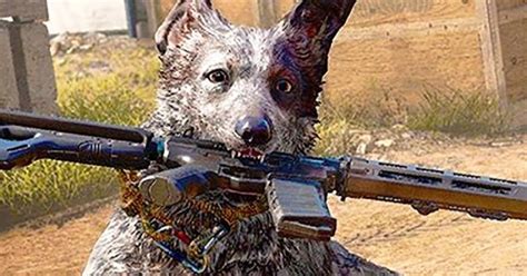 Far Cry 5 Dog Companion Boomer Indestructible With Fire More Details