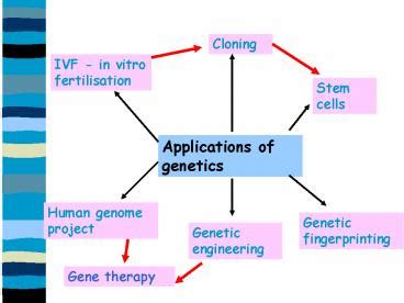 Ppt Applications Of Genetics Powerpoint Presentation Free To