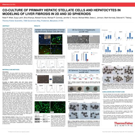 (PDF) CO-Culture of primary hepatic stellate cells and hepatocytes in modeling of liver fibrosis ...