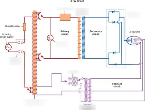 x-ray circuit diagram Diagram | Quizlet