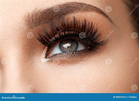 Long Black Eyelashes. Closeup Beautiful Female Eye with Makeup Stock ...