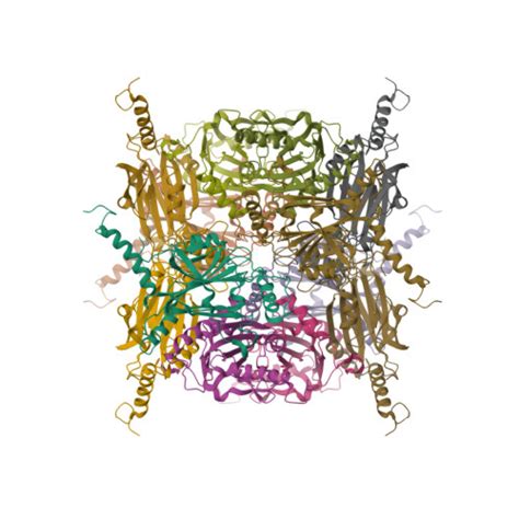 Rcsb Pdb Xhr Crystal Structure Of Wild Type Cypovirus Polyhedra