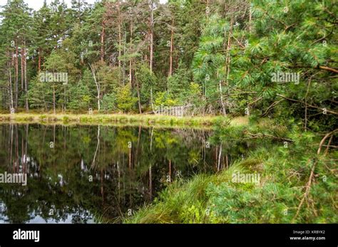 Tuchola Forest National Park Hi Res Stock Photography And Images Alamy