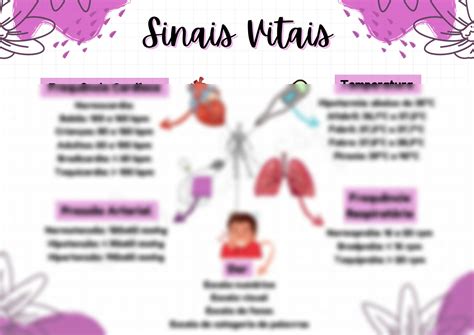 Solution Sinais Vitais Mapa Mental Studypool The Best Porn Website