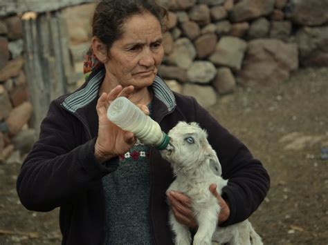 Ser Mujer En El Norte Neuquino Del Coraje Tradiciones Y Saberes