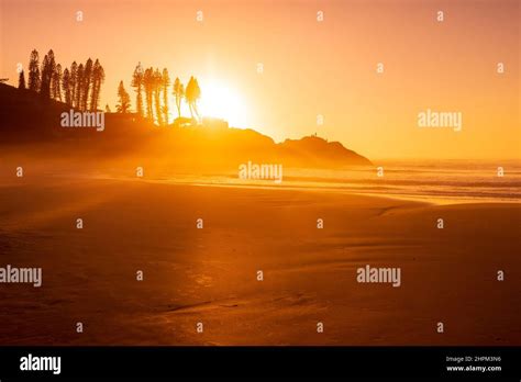 Sunrise On Ocean Beach With Waves And Rocks With Trees Joaquina Beach