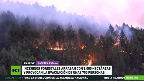 Incendios Forestales Arrasan Cerca De 8000 Hectáreas Y Provocan La