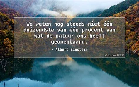 Citaten Net Albert Einstein We Weten Nog Steeds Niet N Duizendste