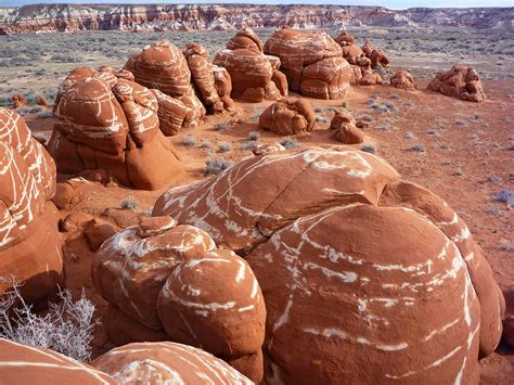 Line of boulders: Blue Canyon, Arizona