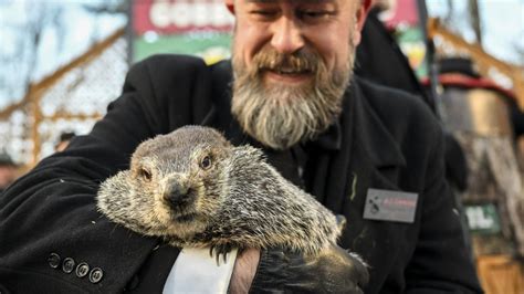 Groundhog Day: Punxsutawney Phil is terrible at weather predictions ...