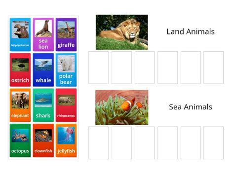 Land Animals & Sea Animals - Group sort