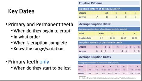 Ortho Tutorial What To Look Out For P Flashcards Quizlet