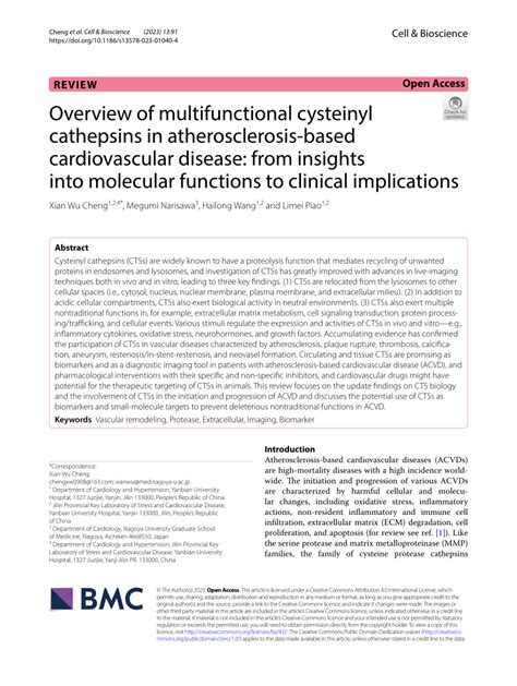 PDF Overview Of Multifunctional Cysteinyl Cathepsins In