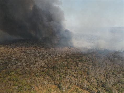 Santa Cruz Registra 12 Incendios Activos Y 126 Focos De Calor Gobernación