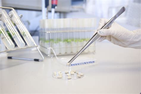 Datos Curiosos Sobre Biotecnolog A Microbiana Y Bioprocesos